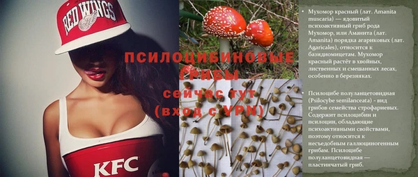 круглые Дмитриев